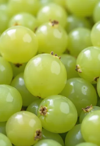 Bagas de groselha verde e vermelha frescas fatiadas, com folha em superfície de madeira